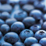 blåbär
